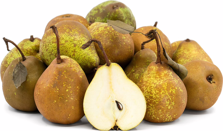 Pear 'Williams' Bon Chrétien/Winter Nelis' 2 Pear 'Williams' Bon Chrétien/Winter Nelis' - Image 2