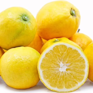 Citrus 'Lemonade'